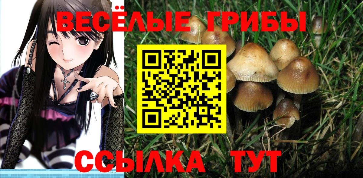 Псилоцибиновые грибы мухоморы Обнинск